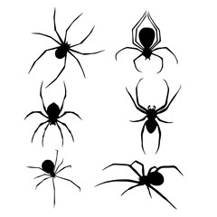 Set of Spiders collection. Spiders silhouette . Vector EPS 10.