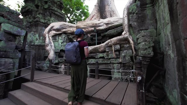 Following woman with rucksack exploring Ta Prohm temple and looking at huge banyan roots growing on its ruins. Angkor Wat complex, Cambodia