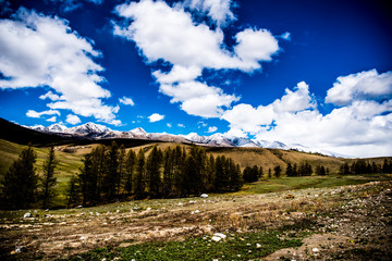 Beautiful spring landscape in Altai 