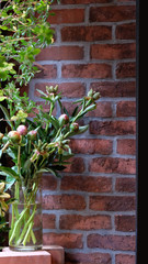 Bouquet of peony buds in a transparent glass vase, with plants and brick wall in the background.