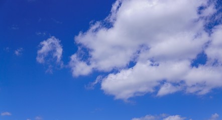 Obraz premium blue sky with white clouds