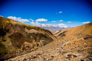 Beautiful Altai mountains in spring