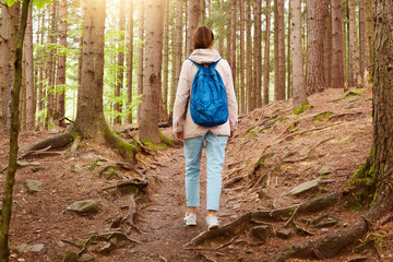 Outdoor shot of girl traveler walking in forest, girl with blue backpack in woods, young lady walks along forest path, woman with bag on her shoulders travels through wild forest. Lifestyle concept.