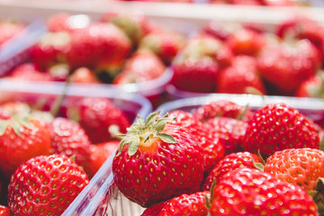 Portion boxes of fresh juicy strawberries in plastic boxes.