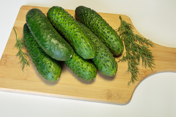 Green cucumbers. Fresh produce from the Farmers Market in early Summer.