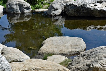 Fototapeta na wymiar Reflecting Pond