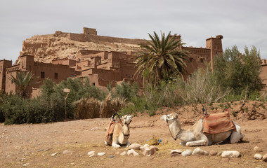 The fortified city of Ksar Ait-Ben-Haddou in Morocco
