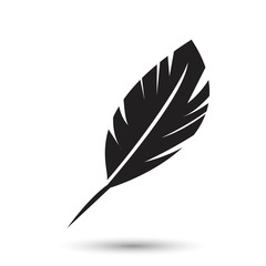 Feather icon isolated on white background