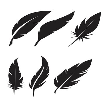 Black Feather Icons Set On White Background