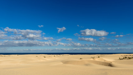 Fototapeta na wymiar Sanddünen am Meer