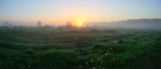 Foggy summer landscape with large forest lawn at sunrise