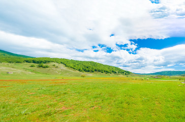 Obraz premium Altopiano di Rascino (Rieti, Italy) - The extended plateau of Rascino lake, over a thousand meters high, in the mountains between Lazio and Abruzzo region, province of Rieti, with spring flowering