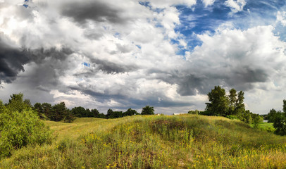 Fototapeta na wymiar beautiful summer landscape. natural wallpaper. panorama of the forest. beautiful clouds in the sky.