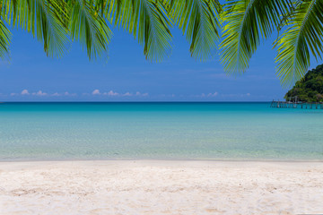 Fototapeta na wymiar Tropical sea and blue sky on sunny day with palm leaf.