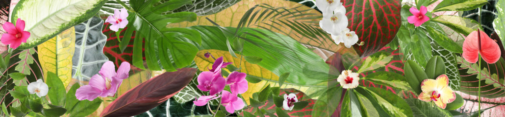 Beautiful tropical leaves and flowers as background. Banner design