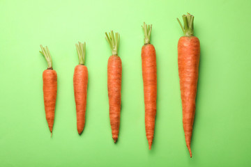 Flat lay composition with fresh carrots on color background