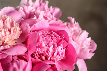 Fragrant peonies on color background, closeup. Beautiful spring flowers