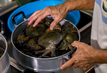 Steamed crab in pot.  live crabs in a pot. steaming shanghai hairy crabs, chinese cuisine. Steamed crab, Chinese seafood stalls.