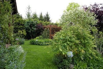 Domowy ogród
