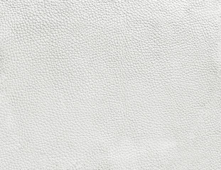 whire leather texture surface