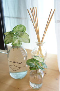 Good Morning Fresh Interior Decorations