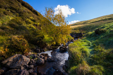 Naklejka na ściany i meble Glenariff is a valley of County Antrim, Northern Ireland.