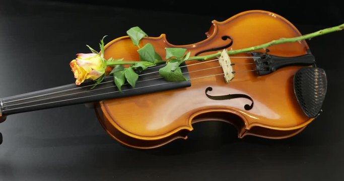 Violino strumento musicale a corde