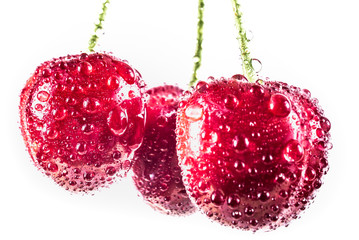 Three sweet cherries with water drops
