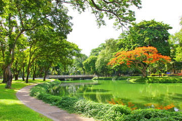fresh air in park.green area create a good environment in the city for people to have outdoor activities.