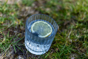 Gin and tonic on the grass