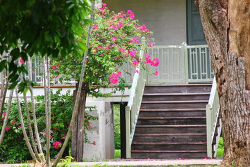 old wood stairs to vintage home with pink flower.