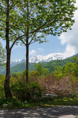 銀山平からの眺望