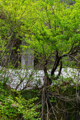 銀山平からの眺望