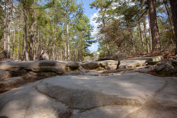 Fototapeta na wymiar Forest Rocks