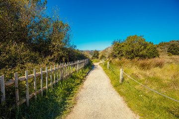Fototapeta na wymiar Walkway in the Natural reserve (Natural resources) Marisma de Joyel. Cantabria, Spain, Europe
