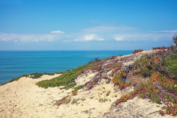 Fototapeta na wymiar Rocky seashore on a sunny day. Paredes da Vitoria Beach, Portugal, Europe