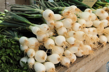 Lauchzwiebeln vom Wochenmarkt
