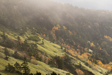 紅葉の芳ヶ平湿地群（志賀高原）／早朝／群馬県吾妻郡中之条町