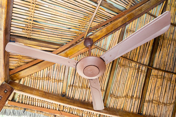 Beautiful ceiling fan decoration interior