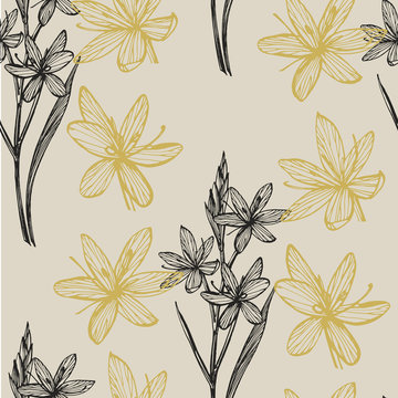 Collection of hand drawn flowers and plants. Botany. Set. Vintage flowers. Black and white illustration in the style of engravings. Seamless pattern.