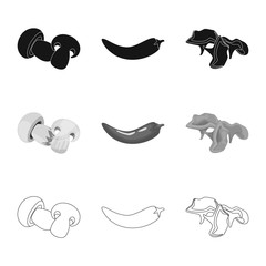 Vector illustration of taste and product logo. Set of taste and cooking stock symbol for web.