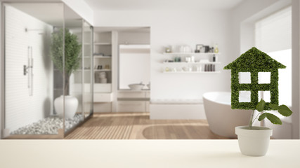 White table top or shelf with green plant in pot shaped like house, modern blurred bathroom with bathtub in the background, interior design, real estate, eco architecture concept idea