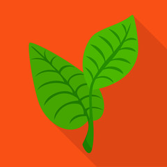 Vector design of leaf and plants sign. Collection of leaf and green vector icon for stock.