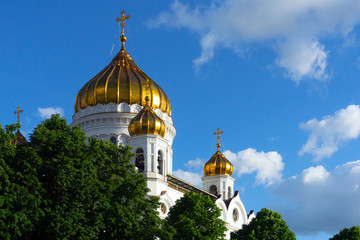 The Cathedral of Christ the Saviour