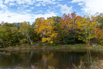 紅葉の蓮池・志賀高原／長野県下高井郡山ノ内町