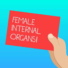 Handwriting text Female Internal Organs. Concept meaning The internal genital structures of the Drawn Hu analysis Hand Holding Presenting Blank Color Paper Cardboard photo