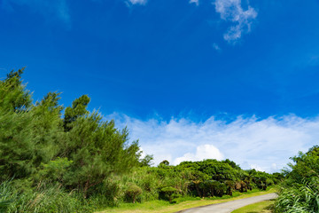 Landscape of Ishigaki Island