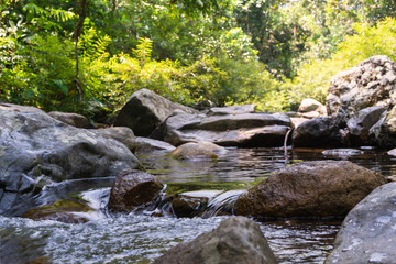 Naklejka na ściany i meble Low angle view of a jungle river with rocks and fast flowing fresh water surrounded by dense trees and foliage - Forest stream leading to a waterfall with rocky surface and bright sunlight