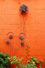 wall, brick, plant, red, house, ivy, old, architecture, building, home, texture, exterior, decoration, color, stone, 
