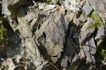 mountain